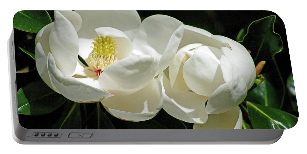 Nature Portable Battery Charger featuring the photograph Magnolia Bliss by Bess Carter