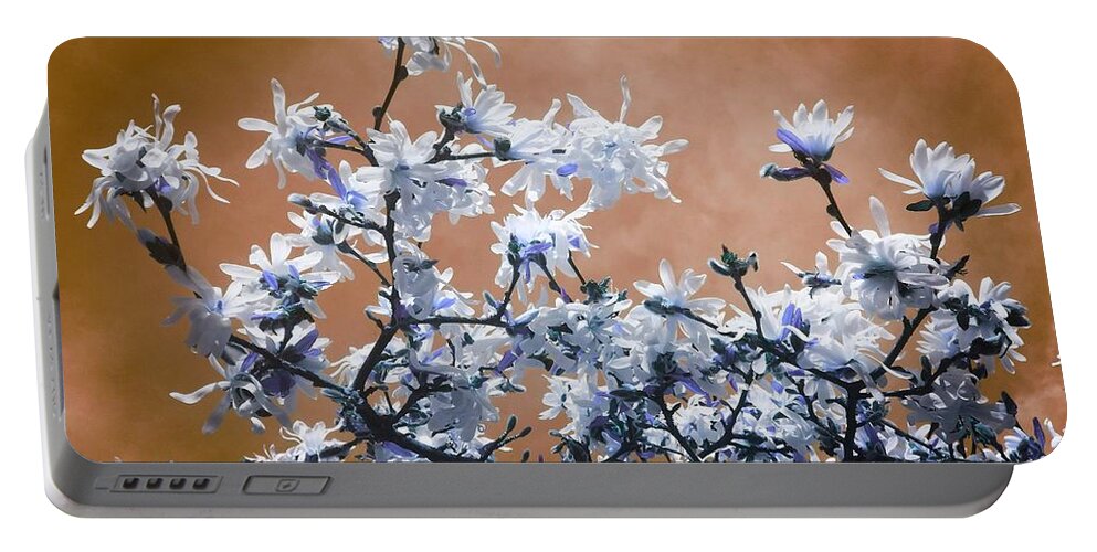 Magnolia Portable Battery Charger featuring the photograph Magnolia Sky In Amber by Rowena Tutty