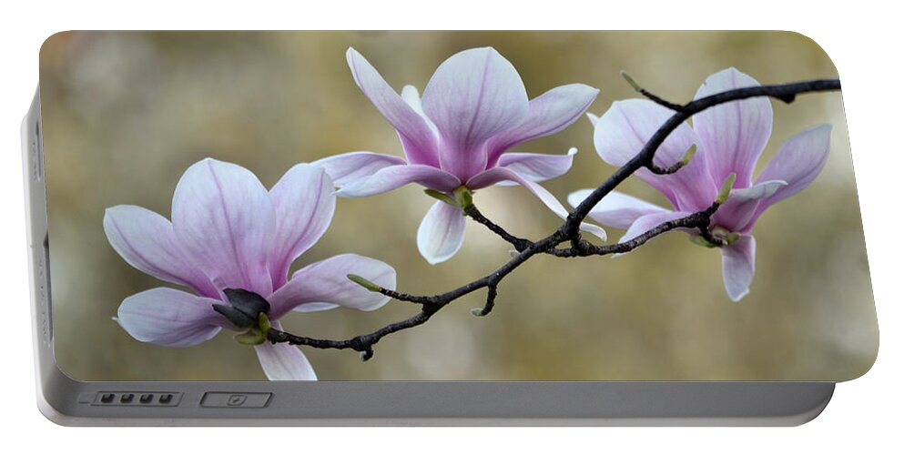 Magnolia Portable Battery Charger featuring the photograph Magnolia Trio by Ann Bridges