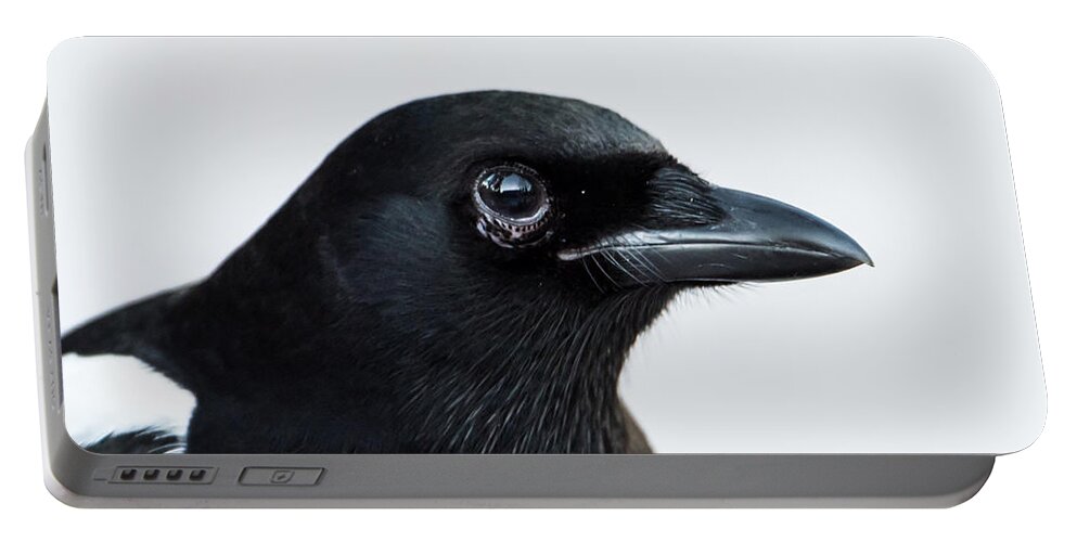 Pica Pica Portable Battery Charger featuring the photograph Magpie portrait by Torbjorn Swenelius