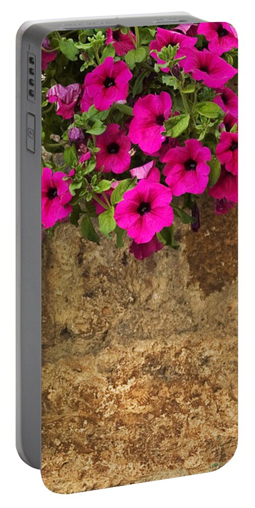 Mailbox Portable Battery Charger featuring the photograph Mailbox with petunias by Silvia Ganora