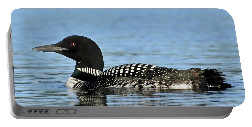 Loon Portable Battery Charger featuring the photograph Maine Loon by Glenn Gordon
