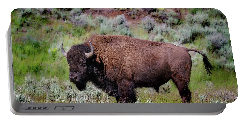 Buffalo Portable Battery Charger featuring the photograph Majestic American Buffalo by C Renee Martin