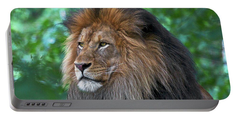 Lion Portable Battery Charger featuring the photograph Majestic lion by Steve and Sharon Smith