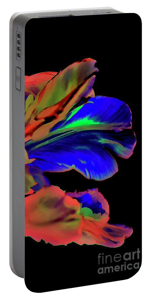 Majestic Sound Portable Battery Charger featuring the digital art Majestic Sound 2021 by Silva Wischeropp