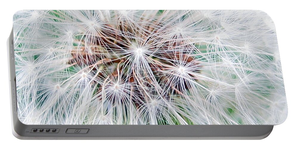 Dandilion Portable Battery Charger featuring the photograph Make A Wish by Kelly Holm