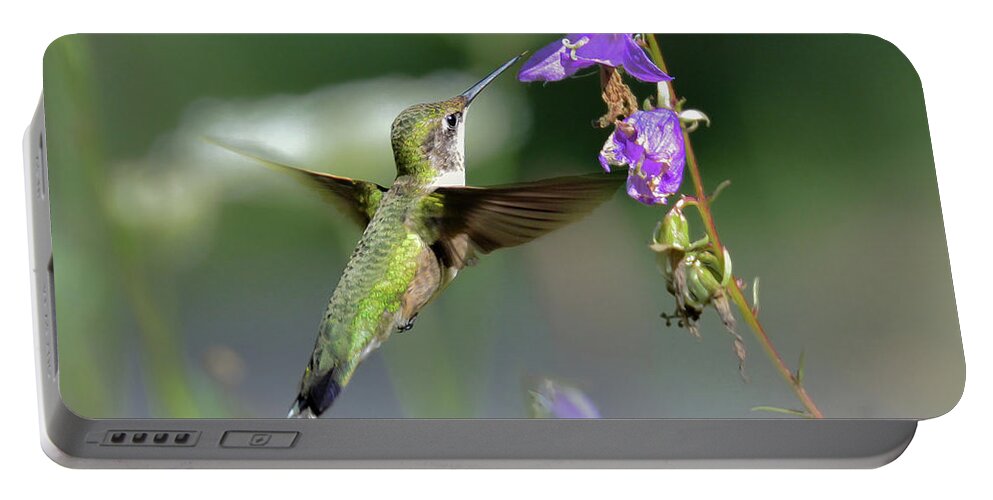 Ruby Throated Hummingbird Portable Battery Charger featuring the photograph Making the Rounds by Amy Porter