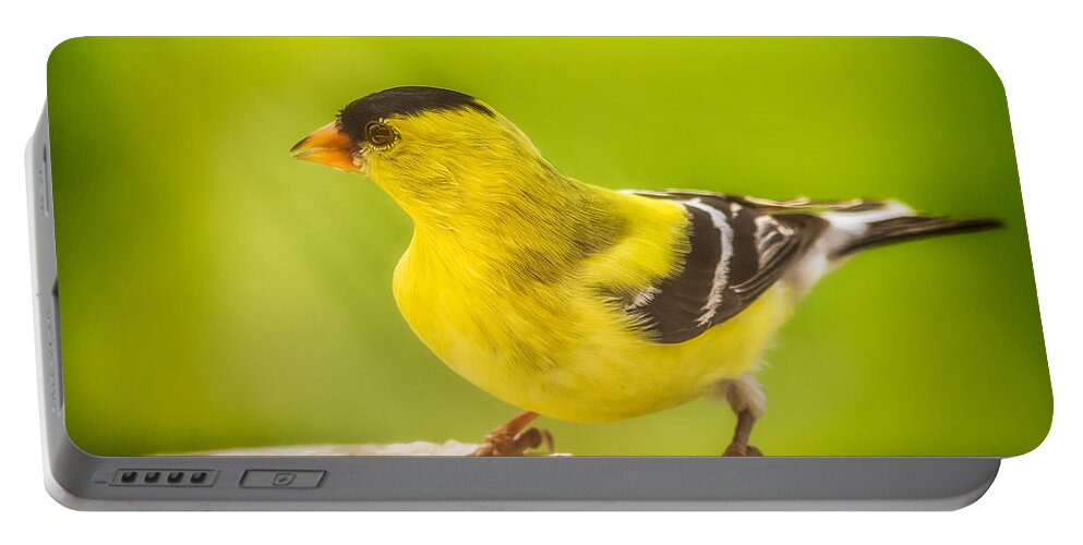 Animals Portable Battery Charger featuring the photograph Male Goldfinch by Rikk Flohr