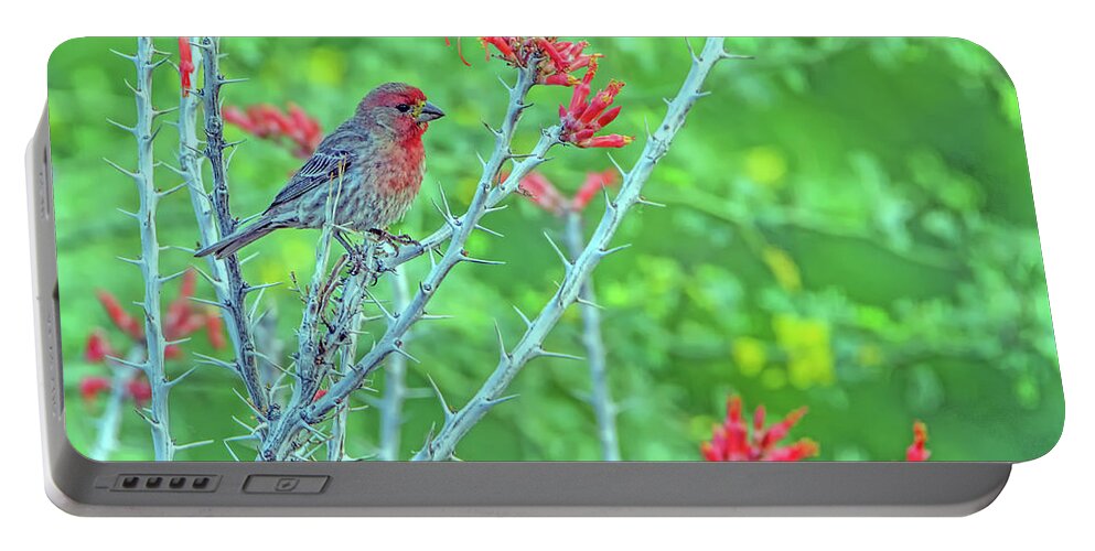 House Portable Battery Charger featuring the photograph Male House Finch 8347 by Tam Ryan