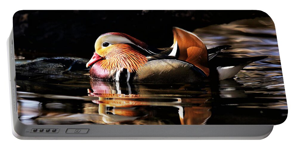 Photography Portable Battery Charger featuring the photograph Male Mandarin Duck 2 by Grant Glendinning