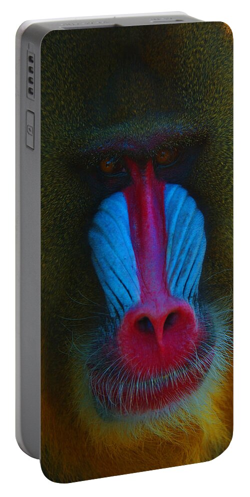 Mandrill Portable Battery Charger featuring the photograph Male Mandrill by Richard Henne