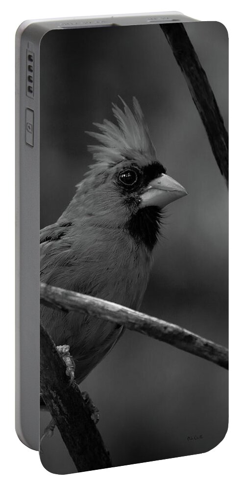 Male Northern Cardinal Portable Battery Charger featuring the photograph Male Northern Cardinal by Bob Orsillo