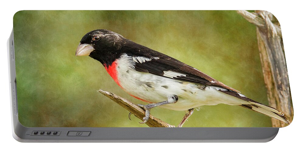 Male Grosbeak Portable Battery Charger featuring the photograph Male Rose-Breasted Grosbeak On Branch by Bill and Linda Tiepelman