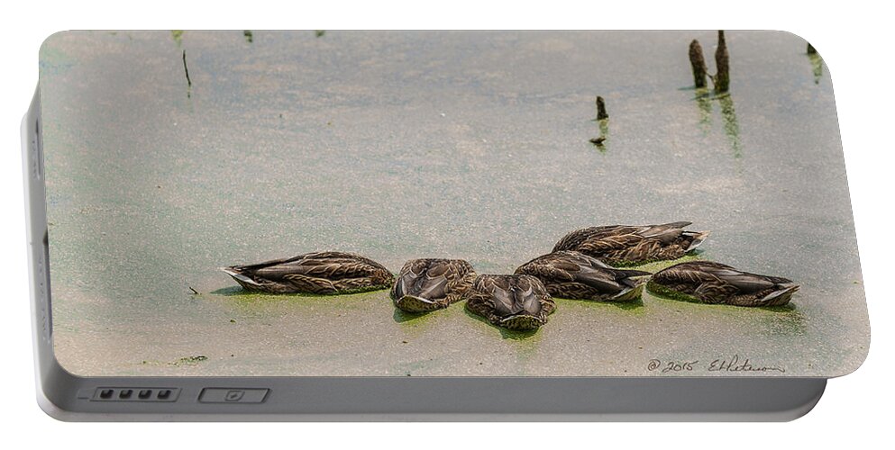 Mallard Portable Battery Charger featuring the photograph Mallard Fine Dining by Ed Peterson