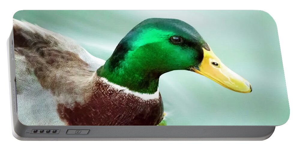 Animals Portable Battery Charger featuring the photograph Mallard by K Bradley Washburn