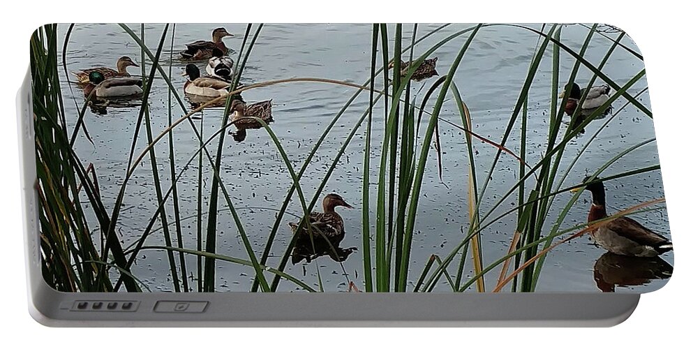 Mighty Sight Studio Portable Battery Charger featuring the photograph Mallard Migration by Steve Sperry