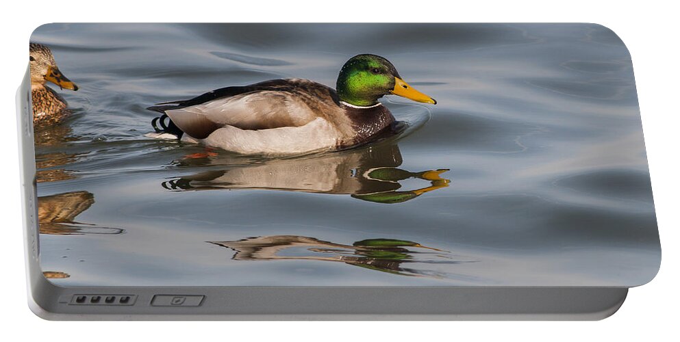 Water Portable Battery Charger featuring the photograph Mallards and Reflection by Robert Potts