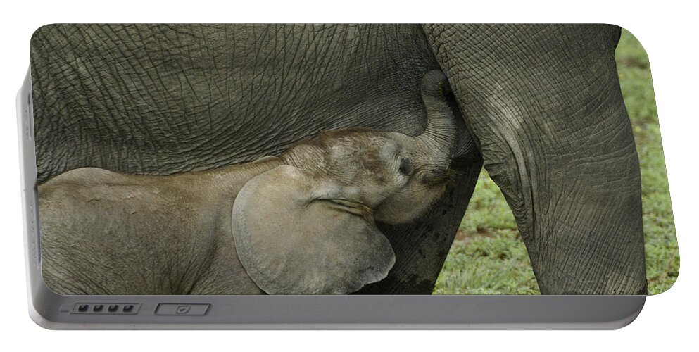 Africa Portable Battery Charger featuring the photograph Mama's Milk Bar by Michele Burgess