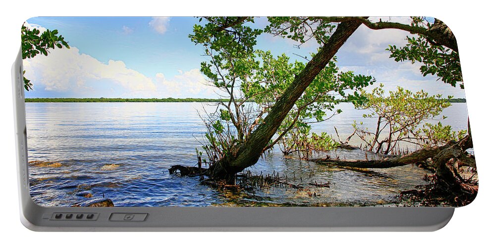 Swampland Portable Battery Charger featuring the photograph Manatee River Bradenton by Chris Smith