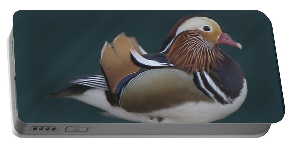 Duck Portable Battery Charger featuring the photograph Mandarin Duck II by Donna Brown