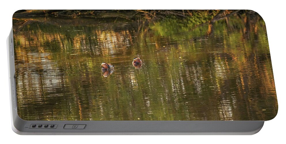 Creek Portable Battery Charger featuring the photograph Mandarin ducks #g3 by Leif Sohlman