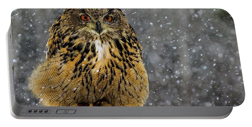 Owl Portable Battery Charger featuring the photograph Mango by Jale Fancey
