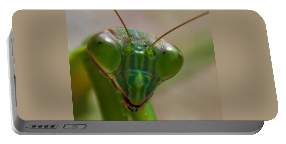 Praying Portable Battery Charger featuring the photograph Mantis Face by Jonny D