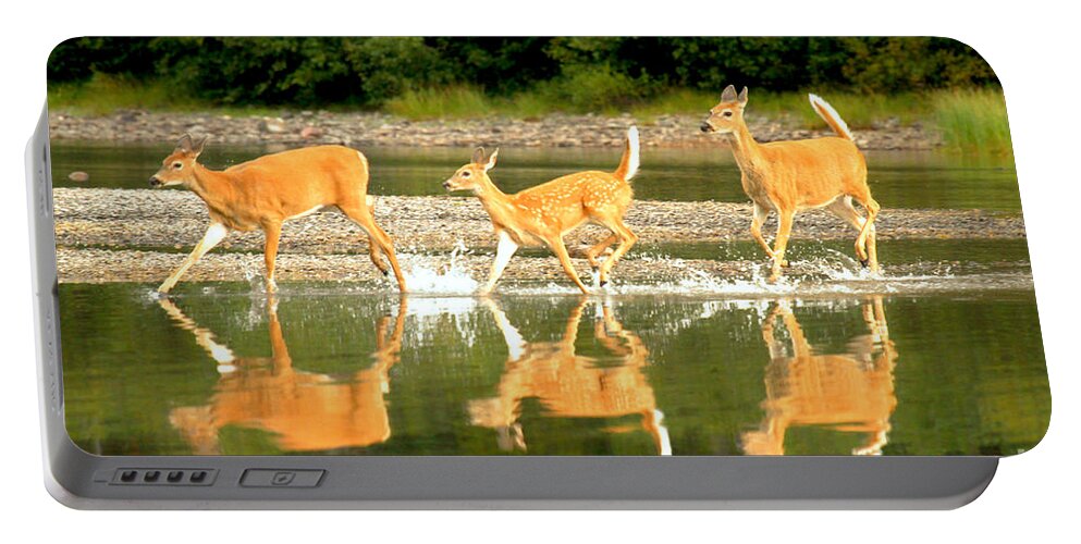  Portable Battery Charger featuring the photograph Many Glacier Deer 2 by Adam Jewell