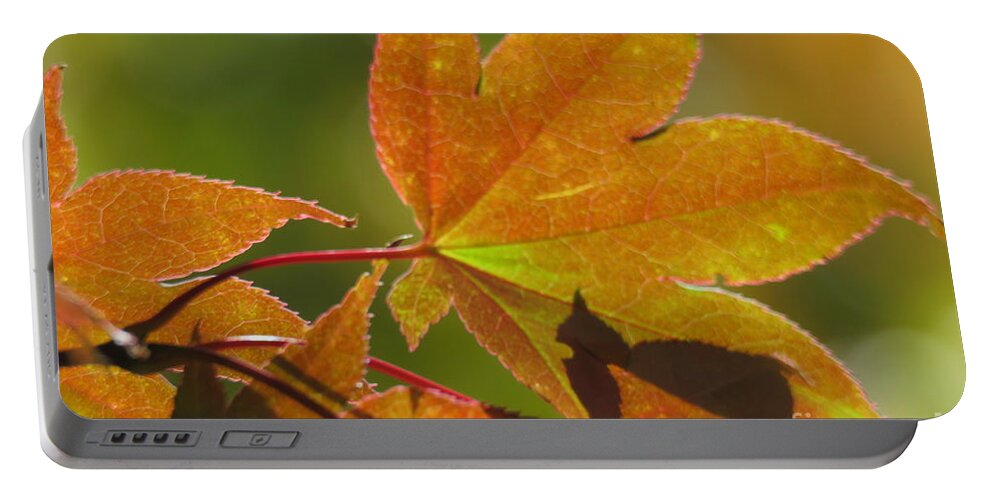 Maple Leaf Portable Battery Charger featuring the photograph Maple Leaf by Anita Adams