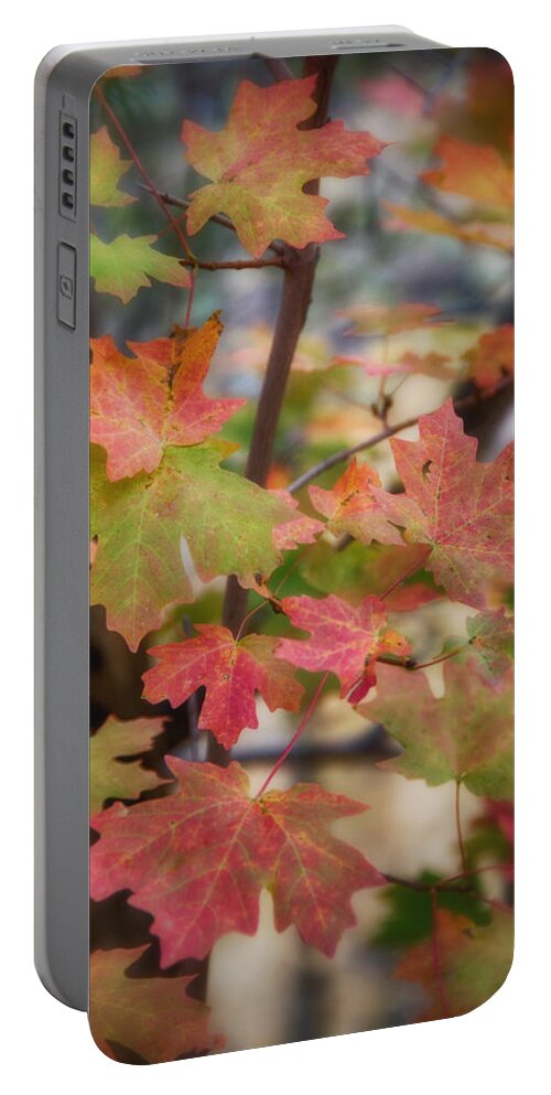 Red Maple Tree Portable Battery Charger featuring the photograph Maple Leaves by Saija Lehtonen