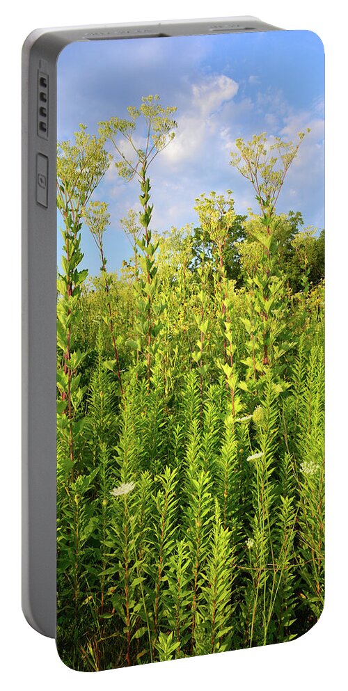 Sunflowers Portable Battery Charger featuring the photograph Marengo Ridge Indian Plantain by Ray Mathis