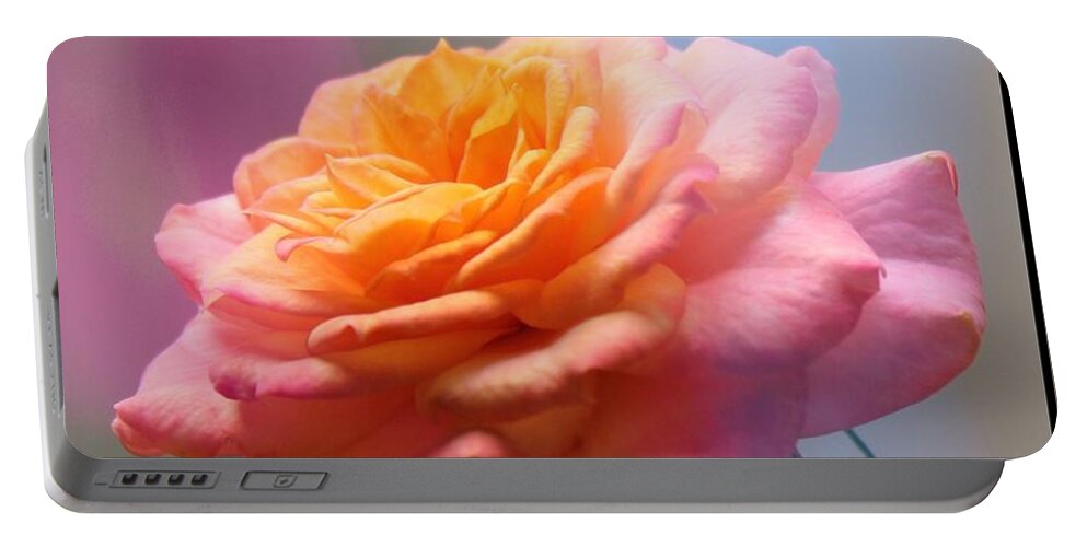Rose Portable Battery Charger featuring the photograph Marie's rose by MaryLee Parker