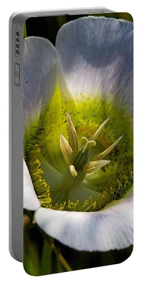 Botanical Portable Battery Charger featuring the photograph Mariposa Lily by Alana Thrower