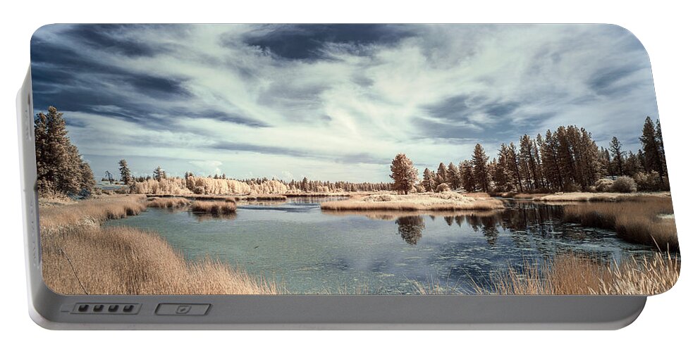 Art Portable Battery Charger featuring the photograph Marshlands in Washington by Jon Glaser