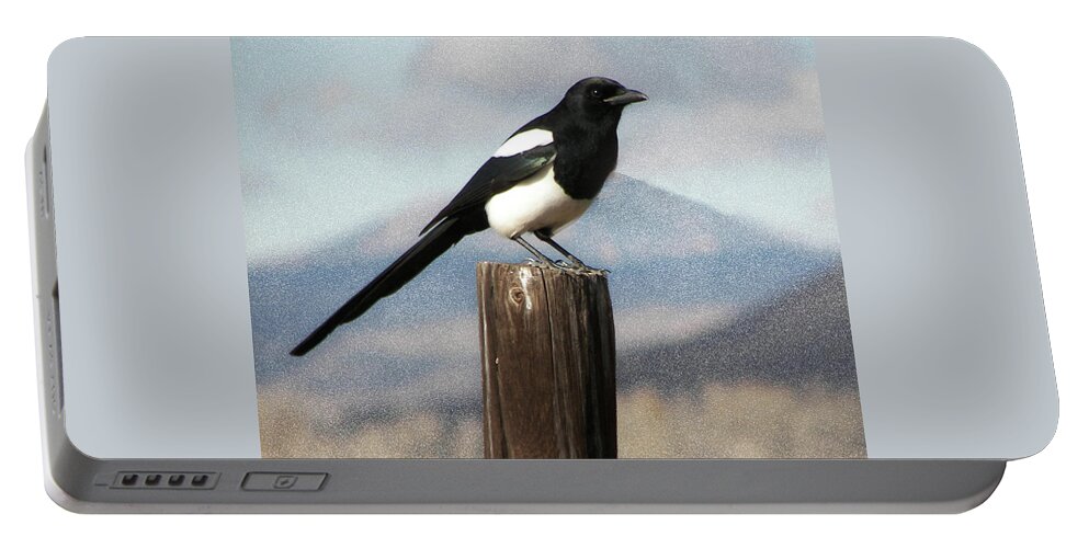  Black-billed Magpie (corvidae Portable Battery Charger featuring the photograph Marty The Magpie by Daniel Hebard