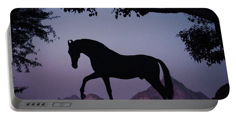 Russian Artists New Wave Portable Battery Charger featuring the photograph Marwari Horse in Twilight by Ekaterina Druz