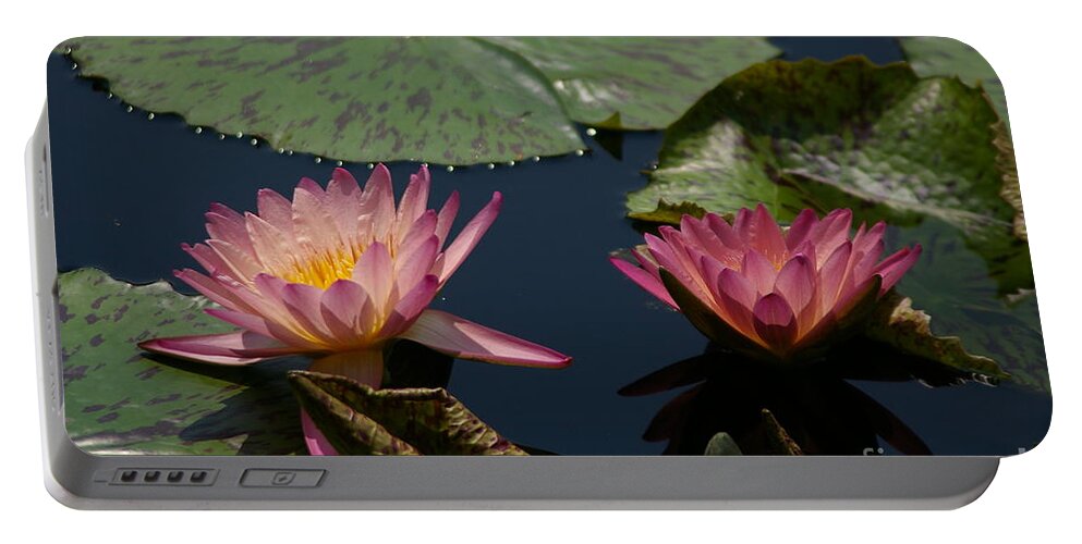 Mauve Portable Battery Charger featuring the photograph Mauve Lotus Waterlily by Jackie Irwin