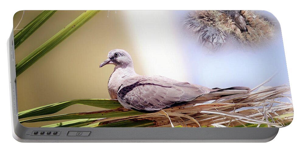 Dove Chicks Portable Battery Charger featuring the photograph Me all grown up 01 by Kevin Chippindall