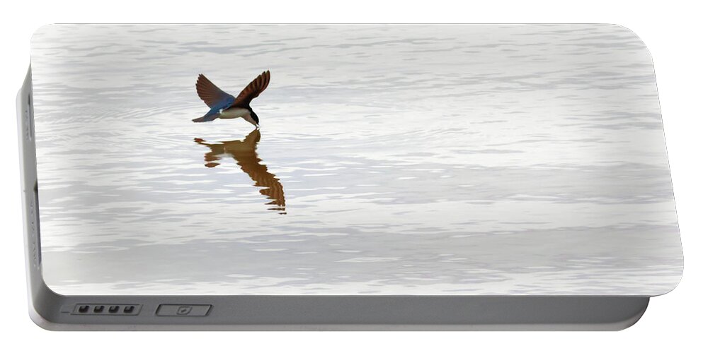 Tree Swallow Portable Battery Charger featuring the photograph Me and My Shadow by Susan Rissi Tregoning