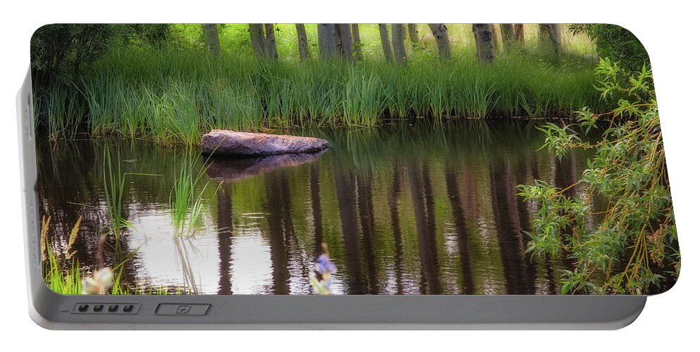 Meadow Portable Battery Charger featuring the photograph Meadow Pond by Anthony Michael Bonafede