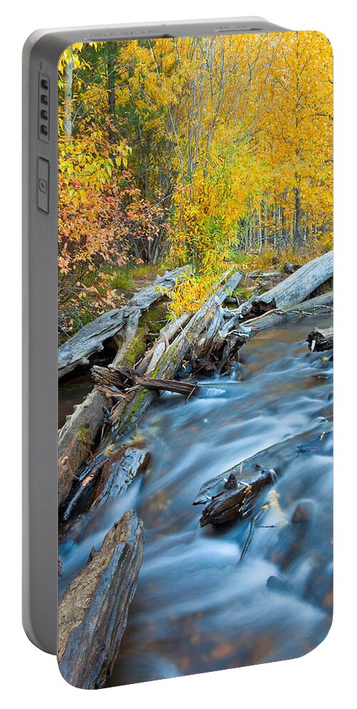 Nature Portable Battery Charger featuring the photograph Meditation by Jonathan Nguyen