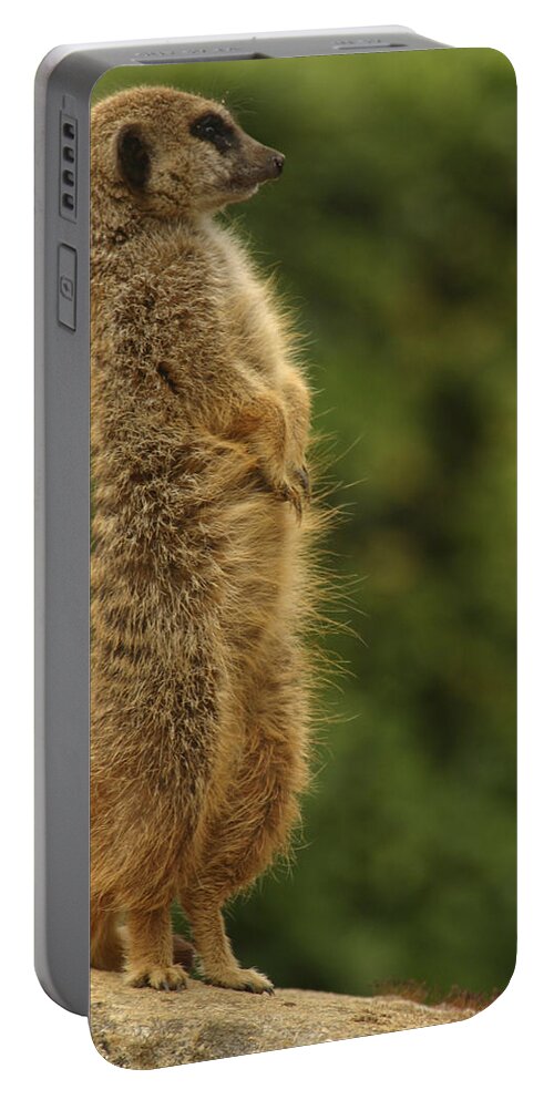Meercat Portable Battery Charger featuring the photograph Meercat by Ian Middleton