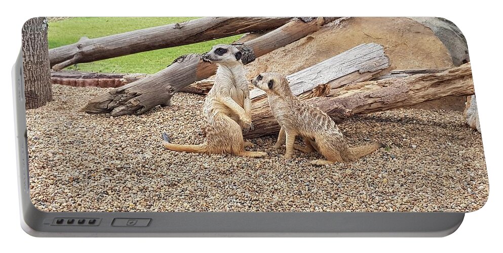 Meerkats Portable Battery Charger featuring the photograph Meerkats by Cassy Allsworth