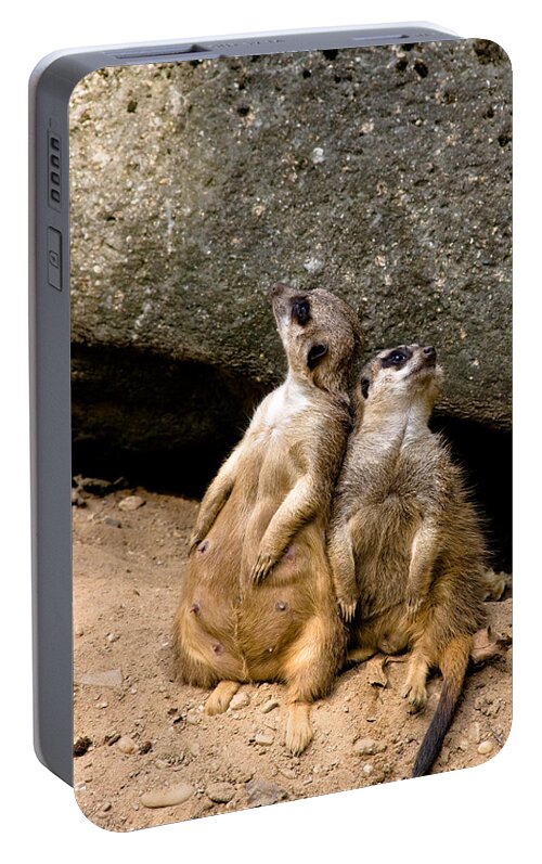 Meerkats Portable Battery Charger featuring the photograph Meerkats keeping an eye out part 2 by Gerth Jan Helmes