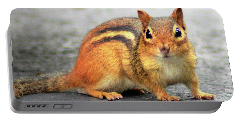 Eastern Chipmunk Portable Battery Charger featuring the photograph Meet Theodore by Kathy Kelly