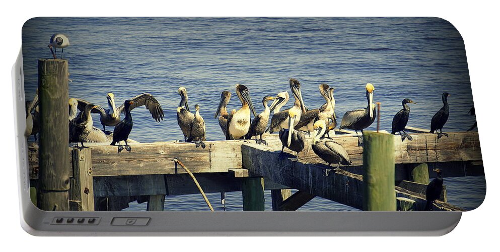 Pelicans Portable Battery Charger featuring the photograph Meeting of the Minds by Laurie Perry