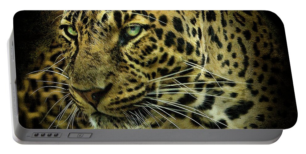 Leopard Portable Battery Charger featuring the photograph Menace by Brian Tarr