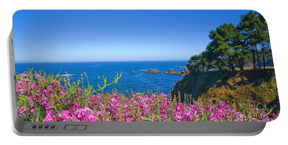 Wildflowers Portable Battery Charger featuring the photograph Mendecino Wildflowers by Daniel Knighton