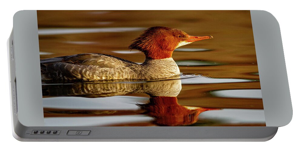 Mark Miller Photos Portable Battery Charger featuring the photograph Merganser Reflection by Mark Miller