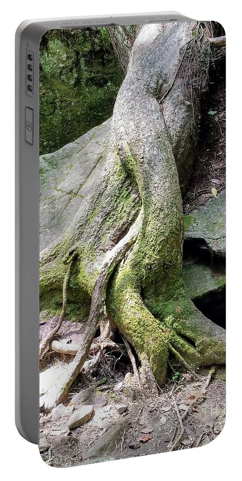 Tree Portable Battery Charger featuring the photograph Mermaid Tails by Rachel Hannah